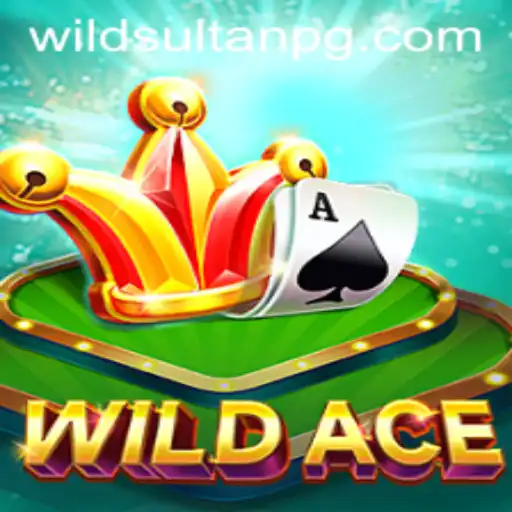 Exploring WildAce: A Thrilling New Experience in the World of 77bet VIP